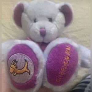 Capricorn Zodiac Plush Bear with Purple Accents Russ Star Scopes